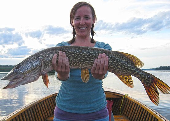 Woman Holding Up Trophy Northern Pike She Caught Fishing Aspect Ratio 554 395