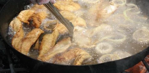Yummy Fish Fry Rapport d'aspect 476 232